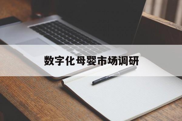 肇庆市数字化母婴市场调研(数字化母婴市场调研报告)